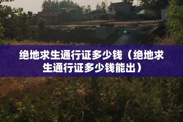 绝地求生***多少钱（绝地求生***多少钱能出）