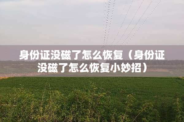 ***没磁了怎么恢复（***没磁了怎么恢复小妙招）