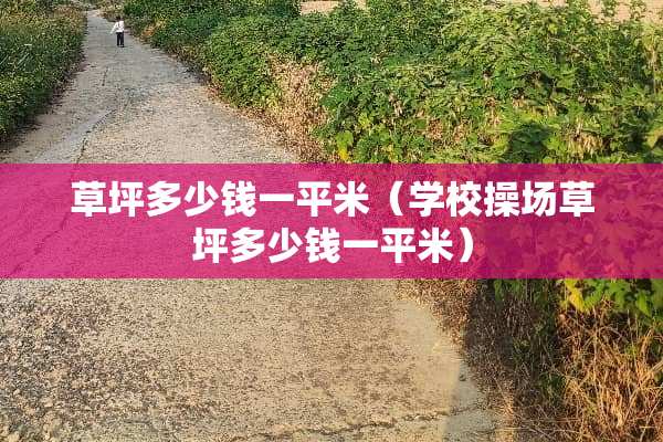 草坪多少钱一平米（学校操场草坪多少钱一平米）