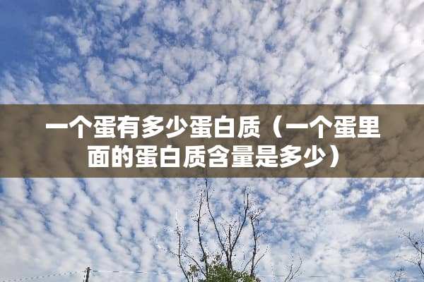 一个蛋有多少蛋白质（一个蛋里面的蛋白质含量是多少）
