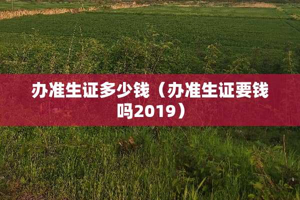 办准生证多少钱（办准生证要钱吗2019）