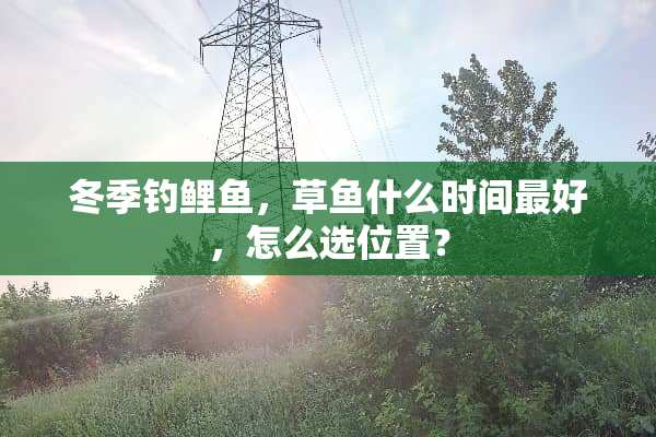 冬季钓鲤鱼，草鱼什么时间最好，怎么选位置？