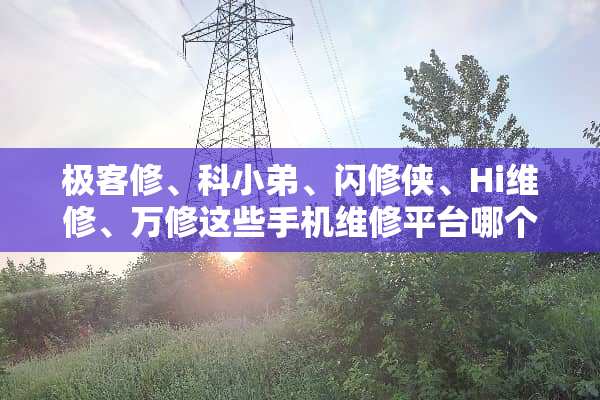 极客修、科小弟、闪修侠、Hi维修、万修这些手机维修平台哪个好一点？