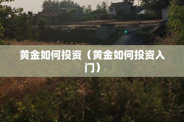 黄金如何投资（黄金如何投资入门）