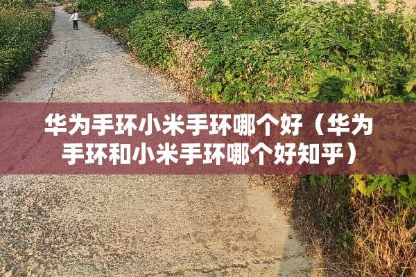 华为手环小米手环哪个好（华为手环和小米手环哪个好知乎）