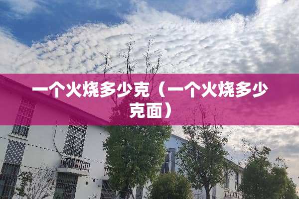 一个火烧多少克（一个火烧多少克面）