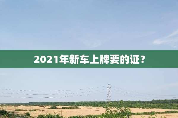 2021年新车上牌要的证？