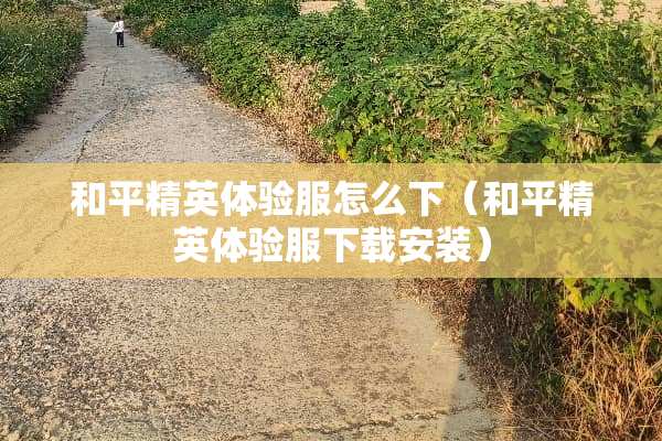 和平精英体验服怎么下（和平精英体验服下载安装）