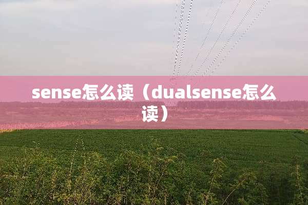 sense怎么读（dualsense怎么读）