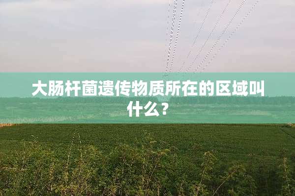 大肠杆菌遗传物质所在的区域叫什么？