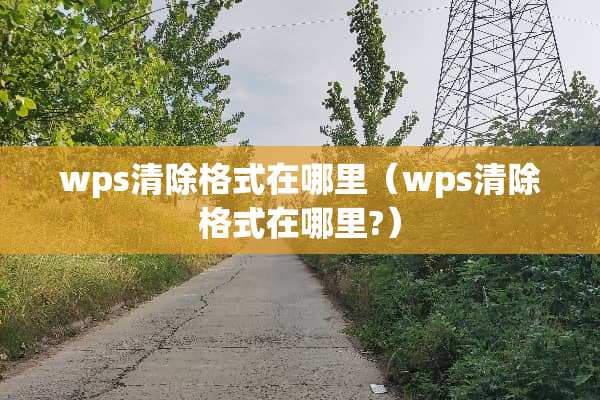 wps清除格式在哪里（wps清除格式在哪里?）