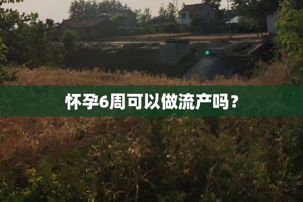 怀孕6周可以做流产吗？