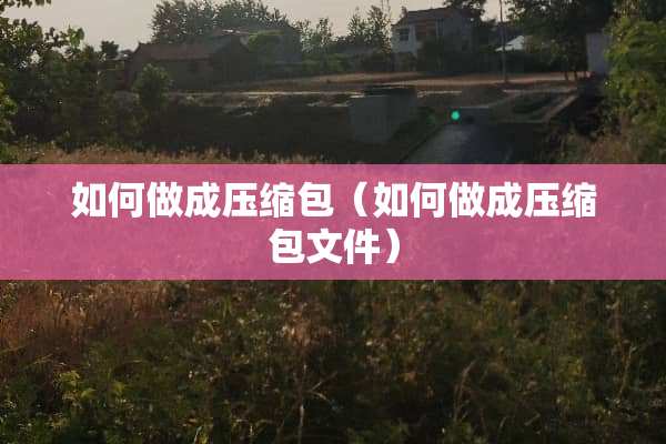 如何做成压缩包（如何做成压缩包文件）