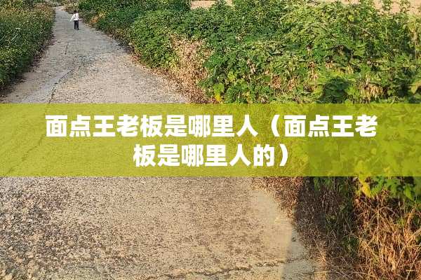 面点王老板是哪里人（面点王老板是哪里人的）