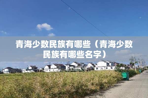青海少数民族有哪些（青海少数民族有哪些名字）