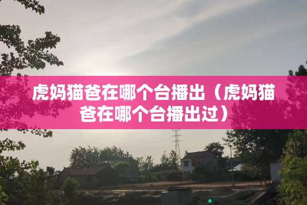 虎妈猫爸在哪个台播出（虎妈猫爸在哪个台播出过）