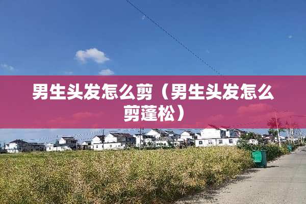 男生头发怎么剪（男生头发怎么剪蓬松）