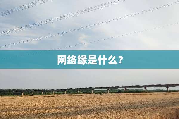 网络缘是什么？