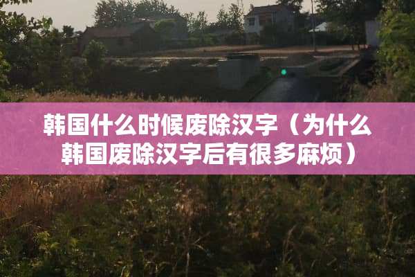 韩国什么时候废除汉字（为什么韩国废除汉字后有很多麻烦）