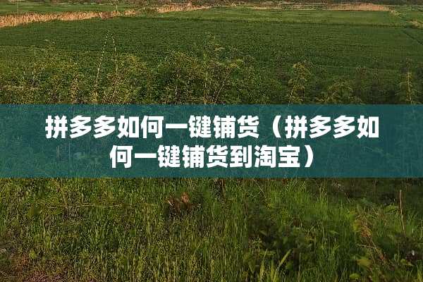 拼多多如何一键铺货（拼多多如何一键铺货到淘宝）