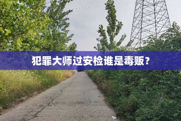 犯罪大师过安检谁是毒贩？
