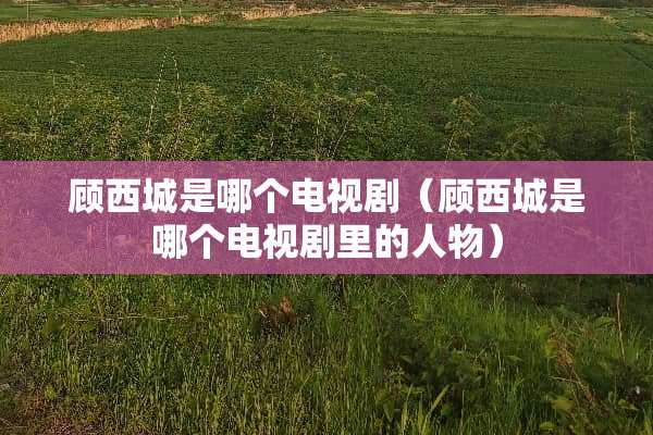 顾西城是哪个电视剧（顾西城是哪个电视剧里的人物）