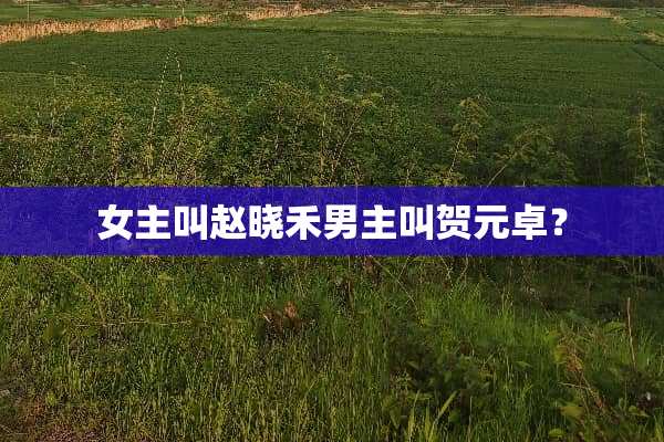 女主叫赵晓禾男主叫贺元卓？