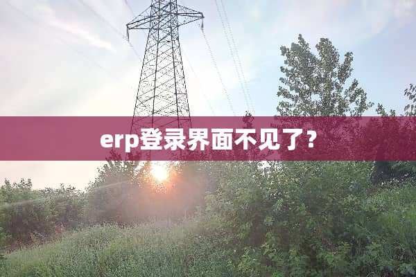 erp登录界面不见了？