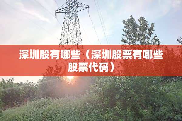 深圳股有哪些（深圳股票有哪些股票代码）