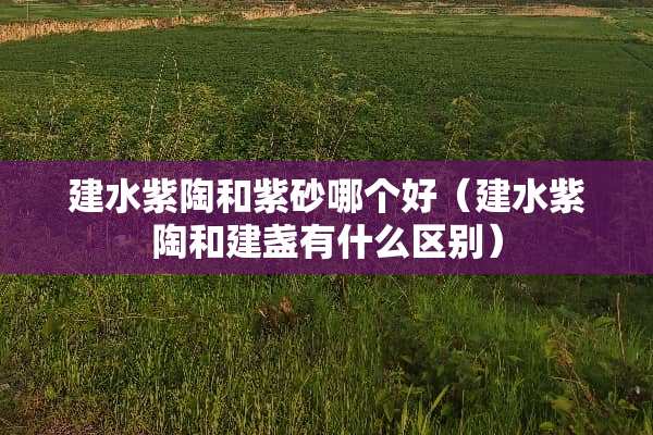 建水紫陶和紫砂哪个好（建水紫陶和建盏有什么区别）