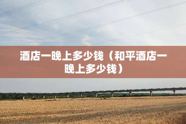 酒店一晚上多少钱（和平酒店一晚上多少钱）