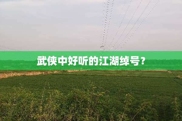 武侠中好听的江湖绰号？