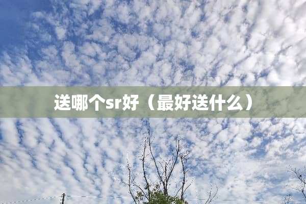 送哪个sr好（最好送什么）