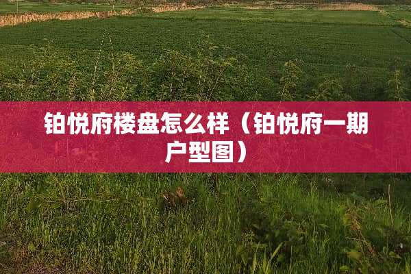 铂悦府楼盘怎么样（铂悦府一期户型图）