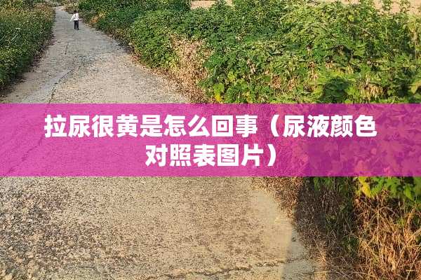拉尿很黄是怎么回事（尿液颜色对照表图片）