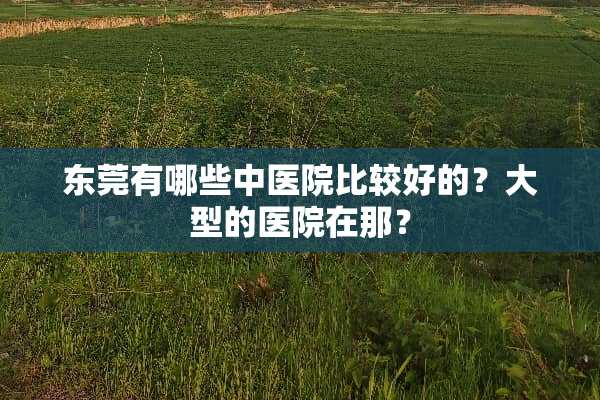 东莞有哪些中医院比较好的？大型的医院在那？