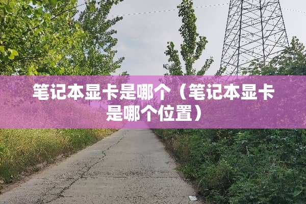 笔记本显卡是哪个（笔记本显卡是哪个位置）