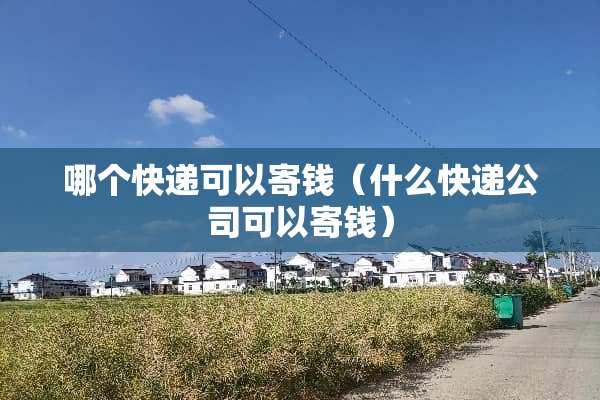 哪个快递可以寄钱（什么快递公司可以寄钱）