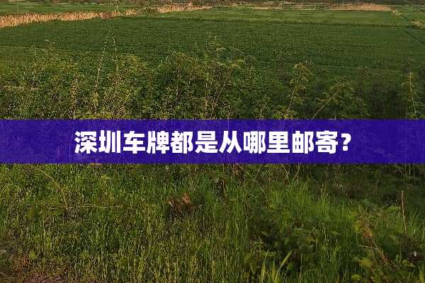 深圳车牌都是从哪里邮寄？
