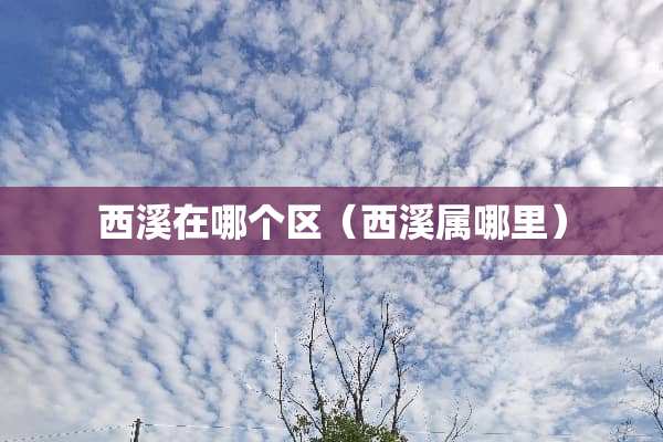 西溪在哪个区（西溪属哪里）