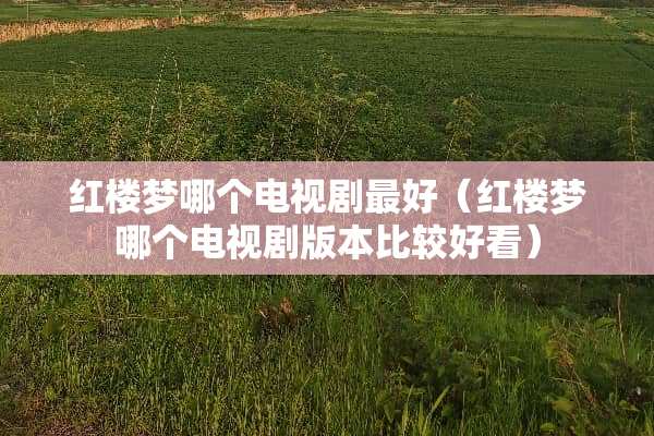 红楼梦哪个电视剧最好（红楼梦哪个电视剧版本比较好看）
