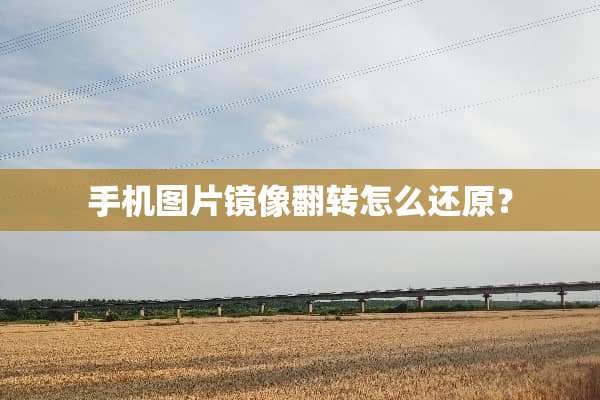 手机图片镜像翻转怎么还原？