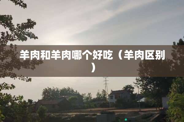 羊肉和羊肉哪个好吃（羊肉区别）
