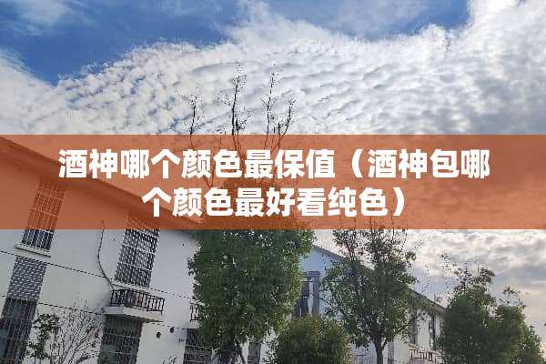 酒神哪个颜色最保值（酒神包哪个颜色最好看纯色）