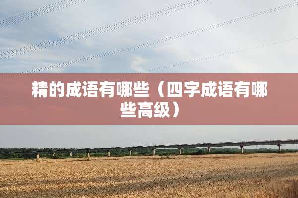 精的成语有哪些（四字成语有哪些高级）