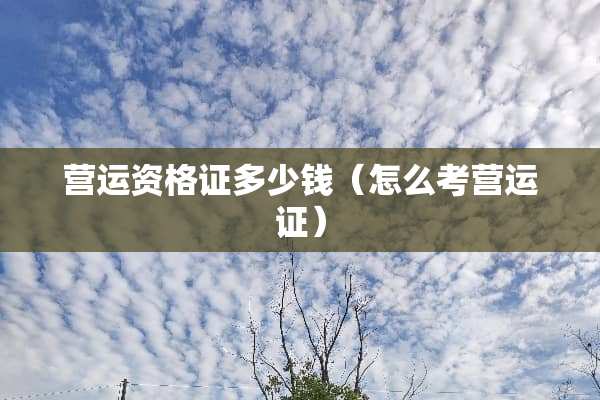 营运资格证多少钱（怎么考营运证）