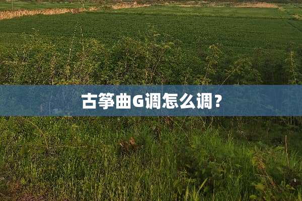 古筝曲G调怎么调？