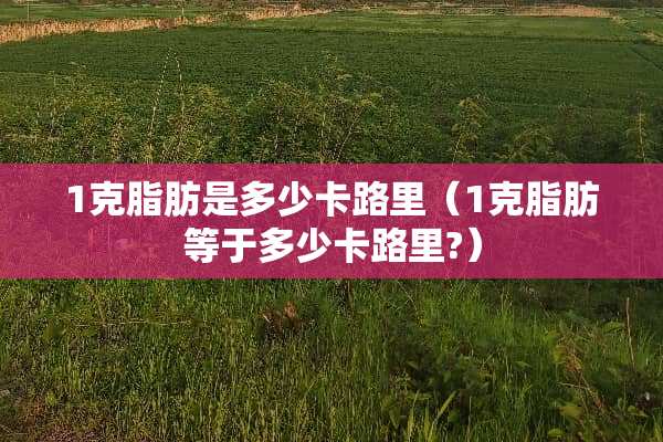 1克脂肪是多少卡路里（1克脂肪等于多少卡路里?）