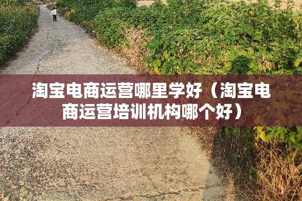淘宝电商运营哪里学好（淘宝电商运营培训机构哪个好）
