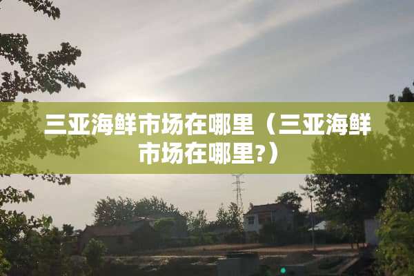 三亚海鲜市场在哪里（三亚海鲜市场在哪里?）